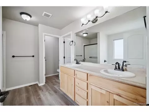 1533 Wavecrest Dr, Windsor, CO 80550 photo 15