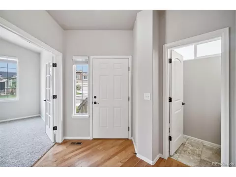 1533 Wavecrest Dr, Windsor, CO 80550 photo 5