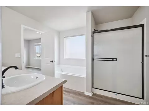 1533 Wavecrest Dr, Windsor, CO 80550 photo 13