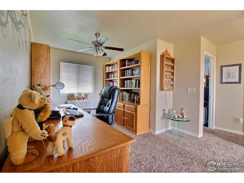 622 Sundance Dr, Windsor, CO 80550 photo 13