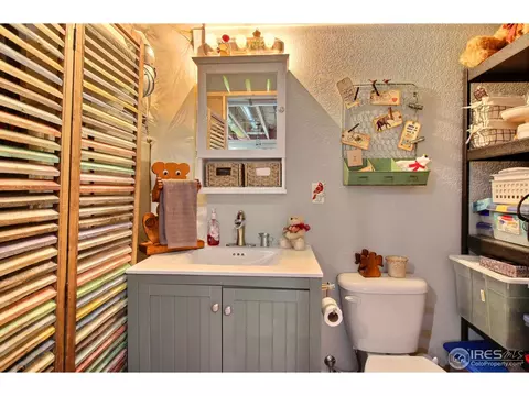 622 Sundance Dr, Windsor, CO 80550 photo 23
