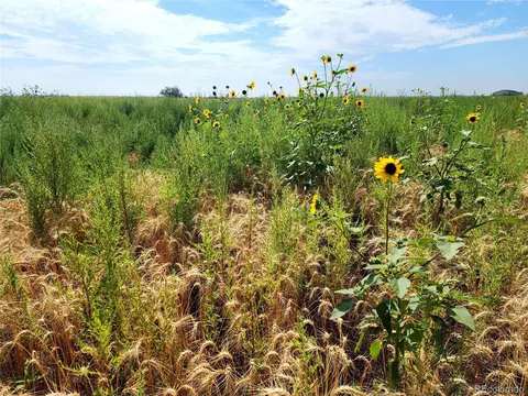 N Converse Rd, Bennett, CO 80102 photo 5
