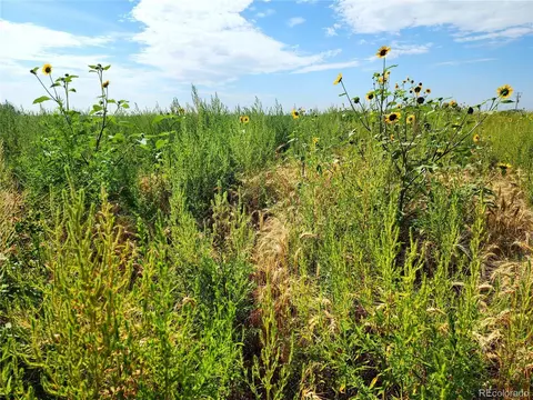 N Converse Rd, Bennett, CO 80102 photo 6