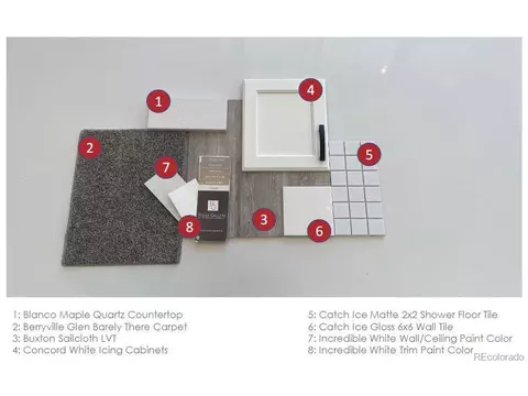 970 Rustling St, Windsor, CO 80550 photo 2