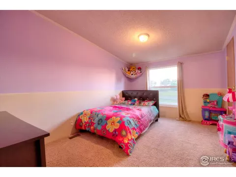 7101 County Road K, Wiggins, CO 80654 photo 18