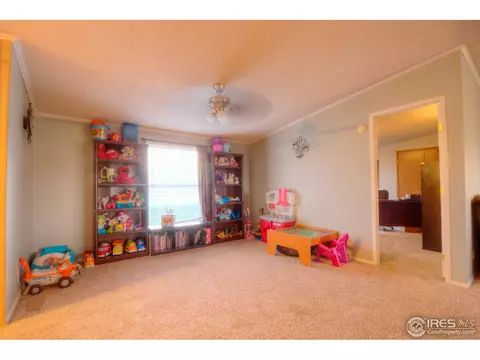 7101 County Road K, Wiggins, CO 80654 photo 12