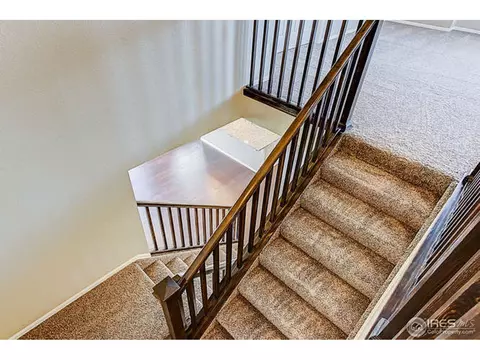 6140 Moran Rd, Timnath, CO 80547 photo 18