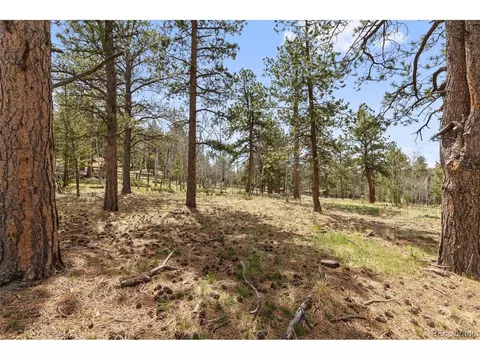 132 Wagon Tongue Rd, Bailey, CO 80421 photo 40