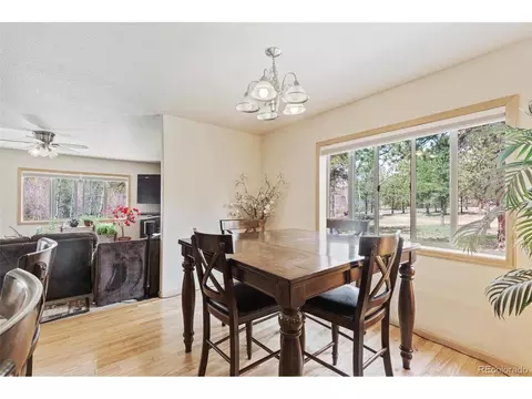 132 Wagon Tongue Rd, Bailey, CO 80421 photo 10