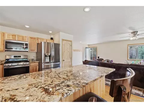 132 Wagon Tongue Rd, Bailey, CO 80421 photo 12
