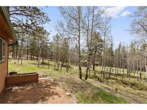 132 Wagon Tongue Rd, Bailey, CO 80421 photo 39