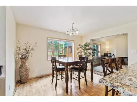 132 Wagon Tongue Rd, Bailey, CO 80421 photo 11