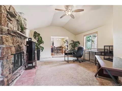 132 Wagon Tongue Rd, Bailey, CO 80421 photo 9