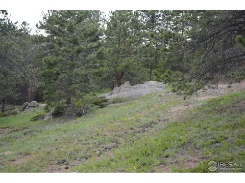 50 Bigbee Rd, Ward, CO 80481 photo 6