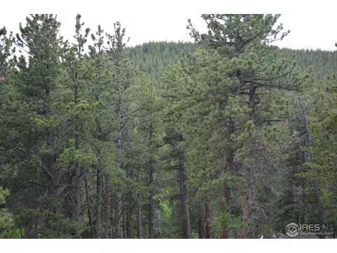 50 Bigbee Rd, Ward, CO 80481 photo 3