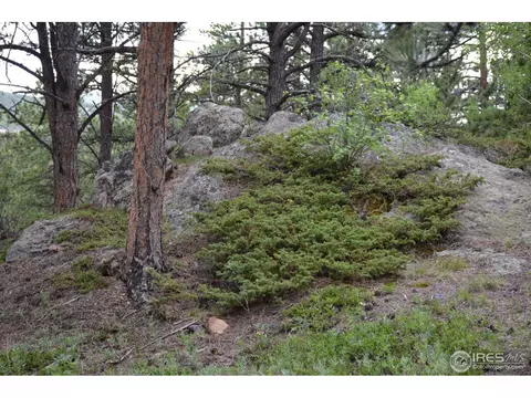 50 Bigbee Rd, Ward, CO 80481 photo 12