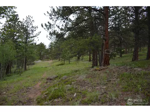 50 Bigbee Rd, Ward, CO 80481 photo 1