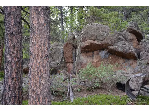 50 Bigbee Rd, Ward, CO 80481 photo 21