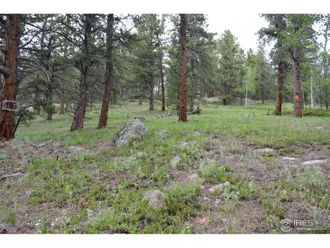 50 Bigbee Rd, Ward, CO 80481 photo 10