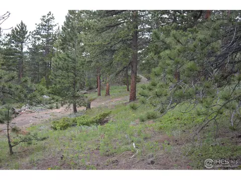 50 Bigbee Rd, Ward, CO 80481 photo 7