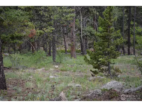50 Bigbee Rd, Ward, CO 80481 photo 14