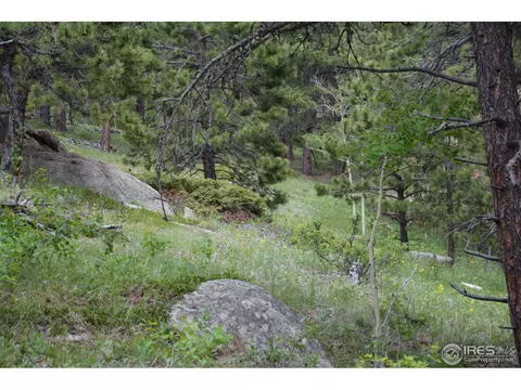 50 Bigbee Rd, Ward, CO 80481 photo 18