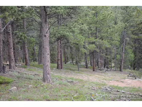 50 Bigbee Rd, Ward, CO 80481 photo 15