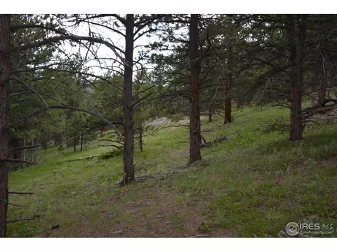 50 Bigbee Rd, Ward, CO 80481 photo 11