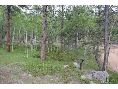 50 Bigbee Rd, Ward, CO 80481 photo 9