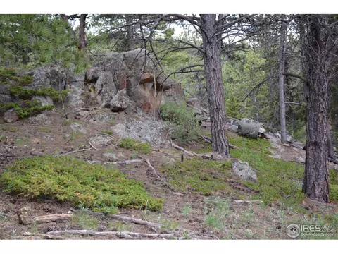 50 Bigbee Rd, Ward, CO 80481 photo 20