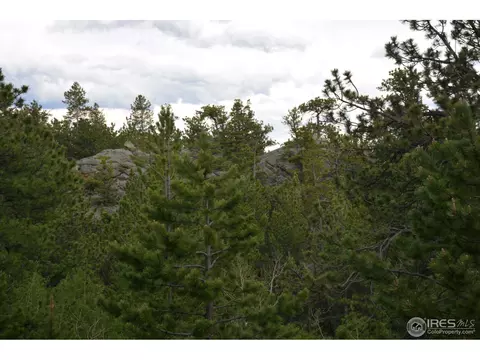 50 Bigbee Rd, Ward, CO 80481 photo 5