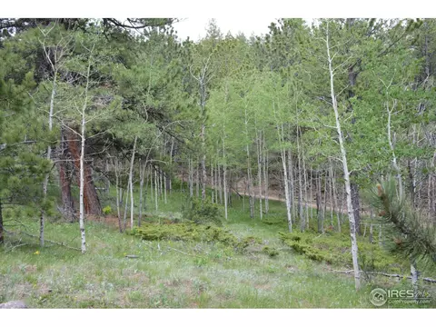 50 Bigbee Rd, Ward, CO 80481 photo 4