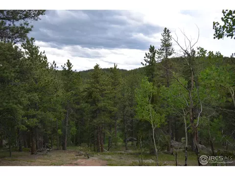 50 Bigbee Rd, Ward, CO 80481 photo 2
