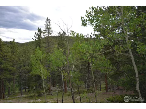 50 Bigbee Rd, Ward, CO 80481 photo 17