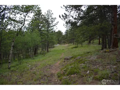 50 Bigbee Rd, Ward, CO 80481 photo 8