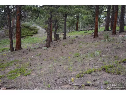 50 Bigbee Rd, Ward, CO 80481 photo 13