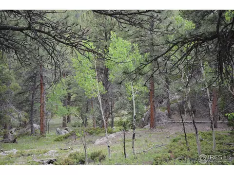 50 Bigbee Rd, Ward, CO 80481 photo 16