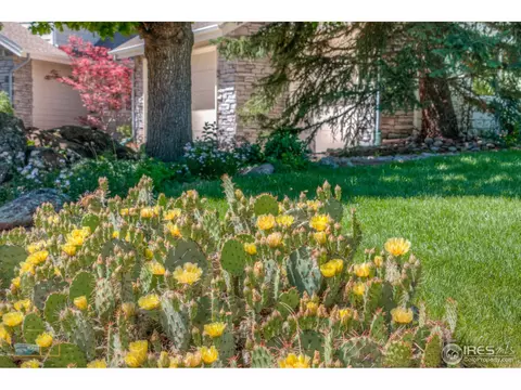 4297 Vinca Ct, Boulder, CO 80304 photo 36