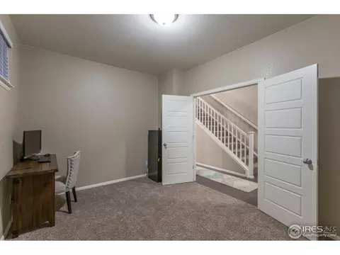 2121 Longfin Ct, Windsor, CO 80550 photo 27