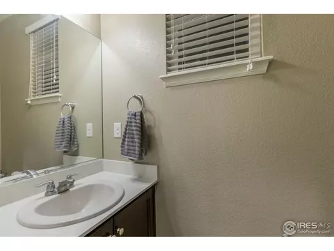 2121 Longfin Ct, Windsor, CO 80550 photo 25