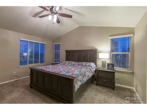 2121 Longfin Ct, Windsor, CO 80550 photo 16