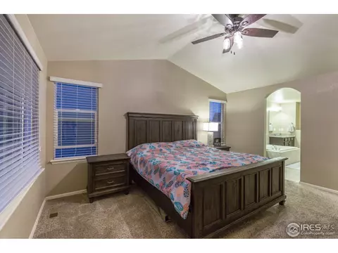 2121 Longfin Ct, Windsor, CO 80550 photo 15