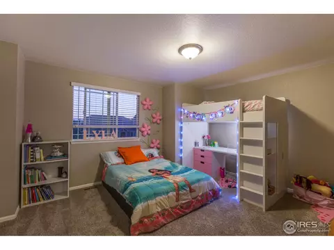 2121 Longfin Ct, Windsor, CO 80550 photo 23