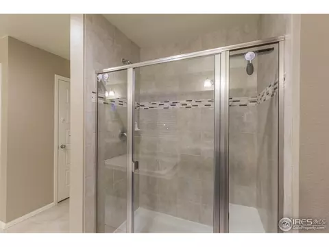 2121 Longfin Ct, Windsor, CO 80550 photo 20