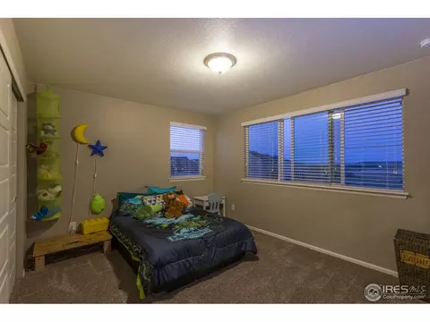2121 Longfin Ct, Windsor, CO 80550 photo 22