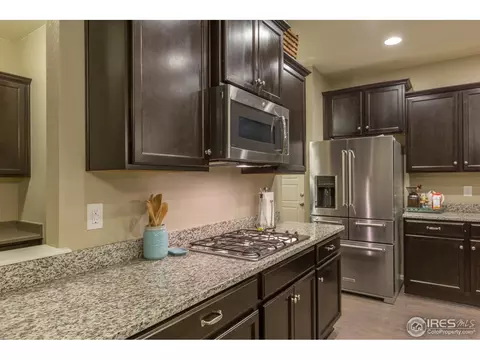 2121 Longfin Ct, Windsor, CO 80550 photo 12