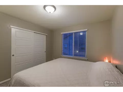 2121 Longfin Ct, Windsor, CO 80550 photo 21