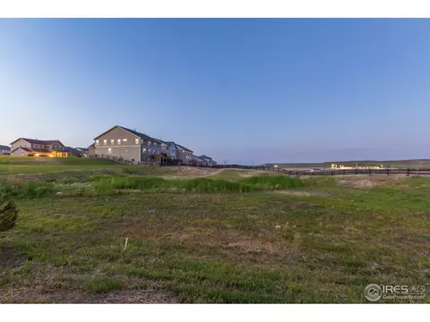 2121 Longfin Ct, Windsor, CO 80550 photo 34