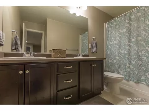 2121 Longfin Ct, Windsor, CO 80550 photo 24