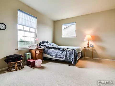6947 E 131st Pl, Thornton, CO 80602 photo 27